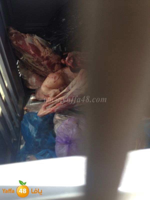 lo7oom lud 0527 (3).JPG